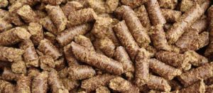 Leinkuchen-Pellets
